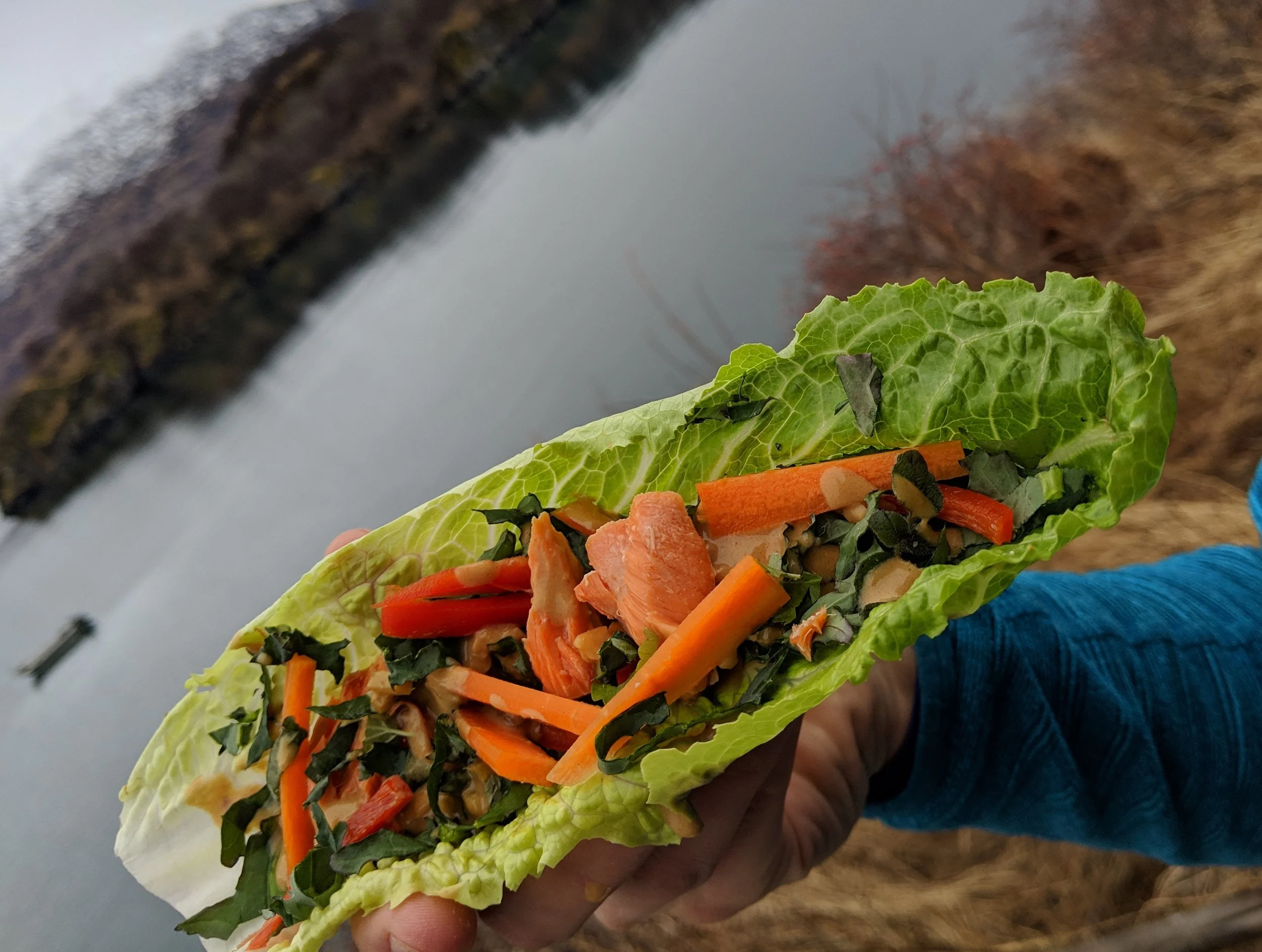 Lettuce Boats with Salmon and Peanut Sauce