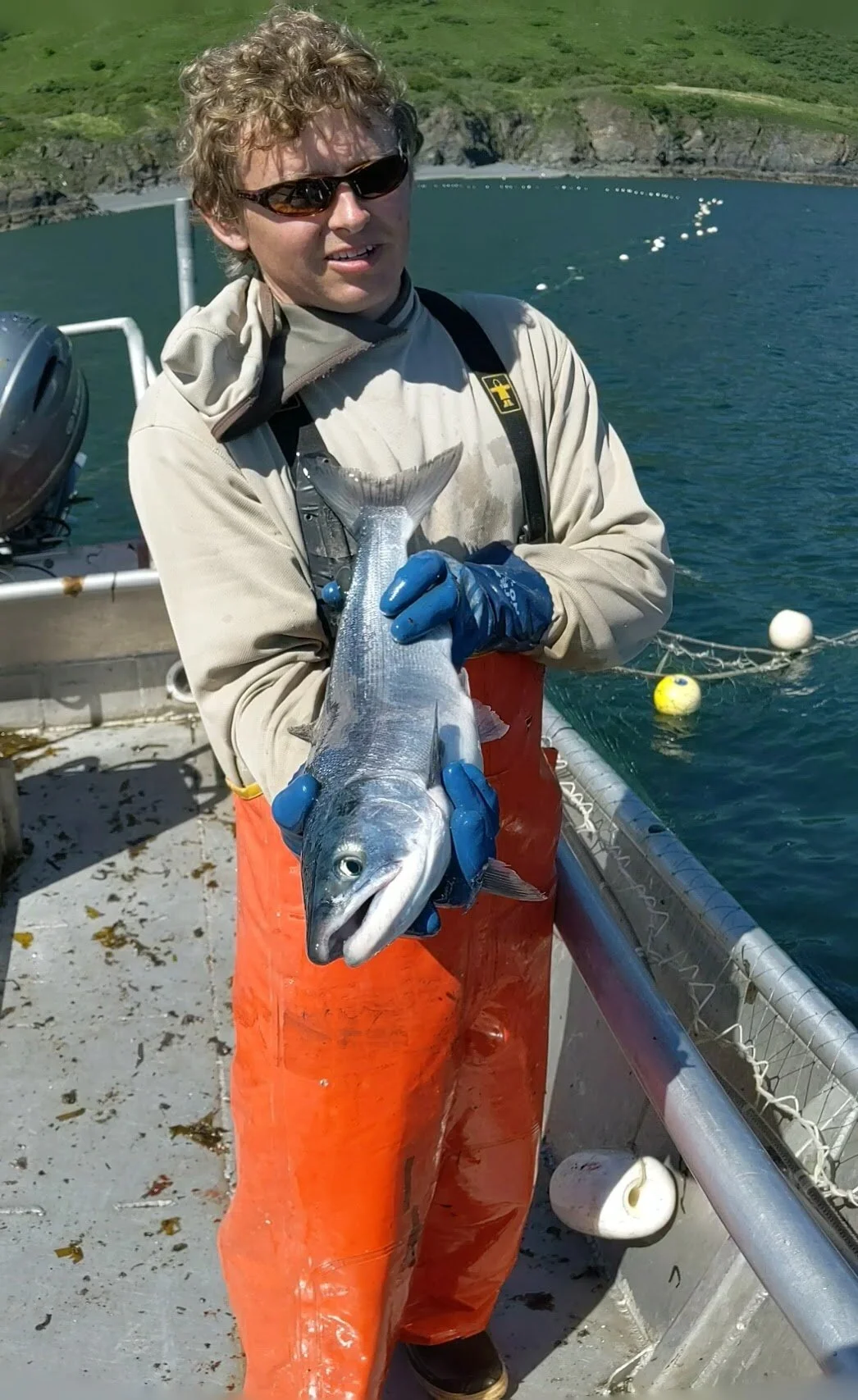Different Species: Distinguishing Sockeye From Coho 