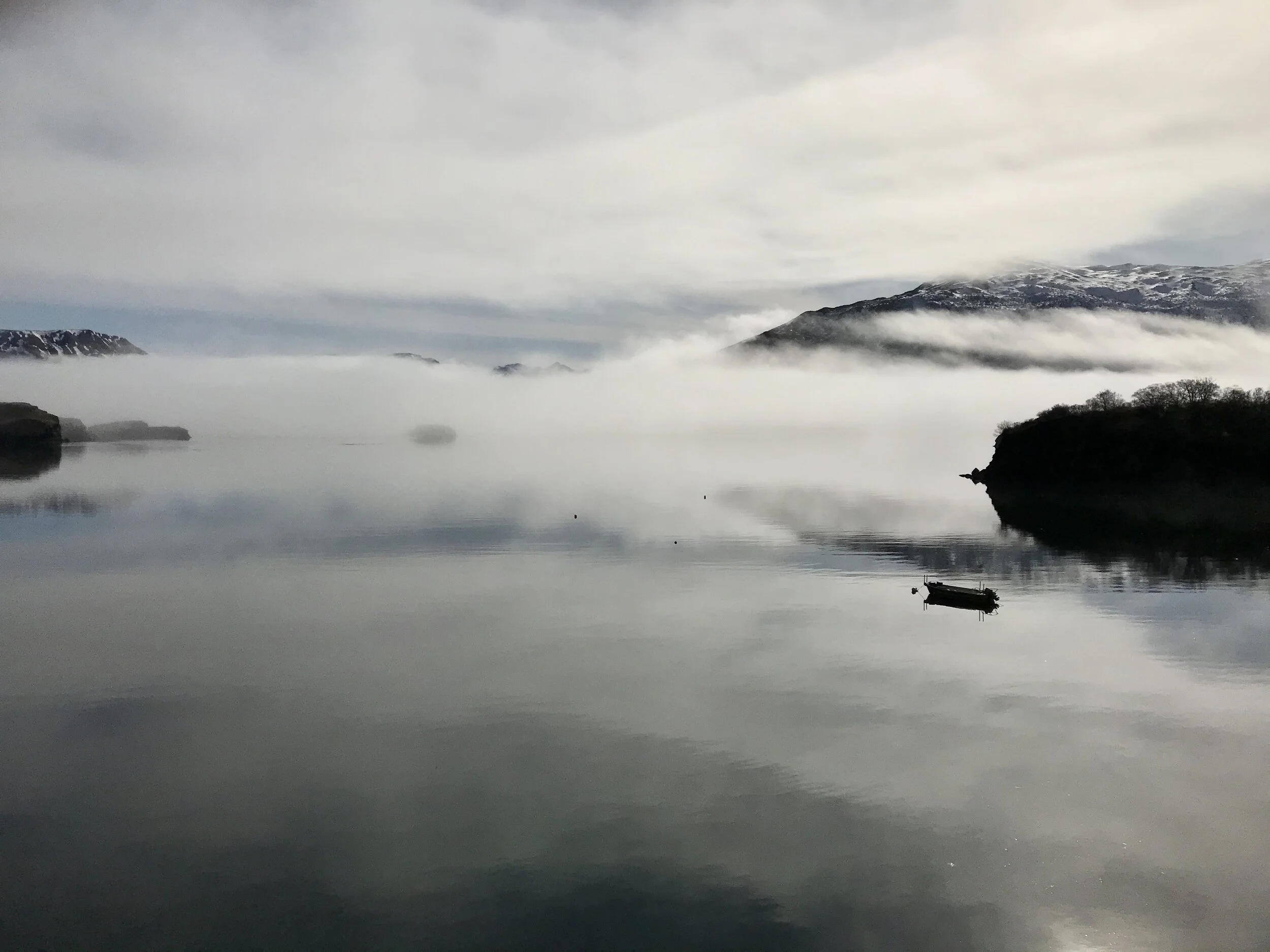 Earth Day Thoughts: Regenerating our Ocean