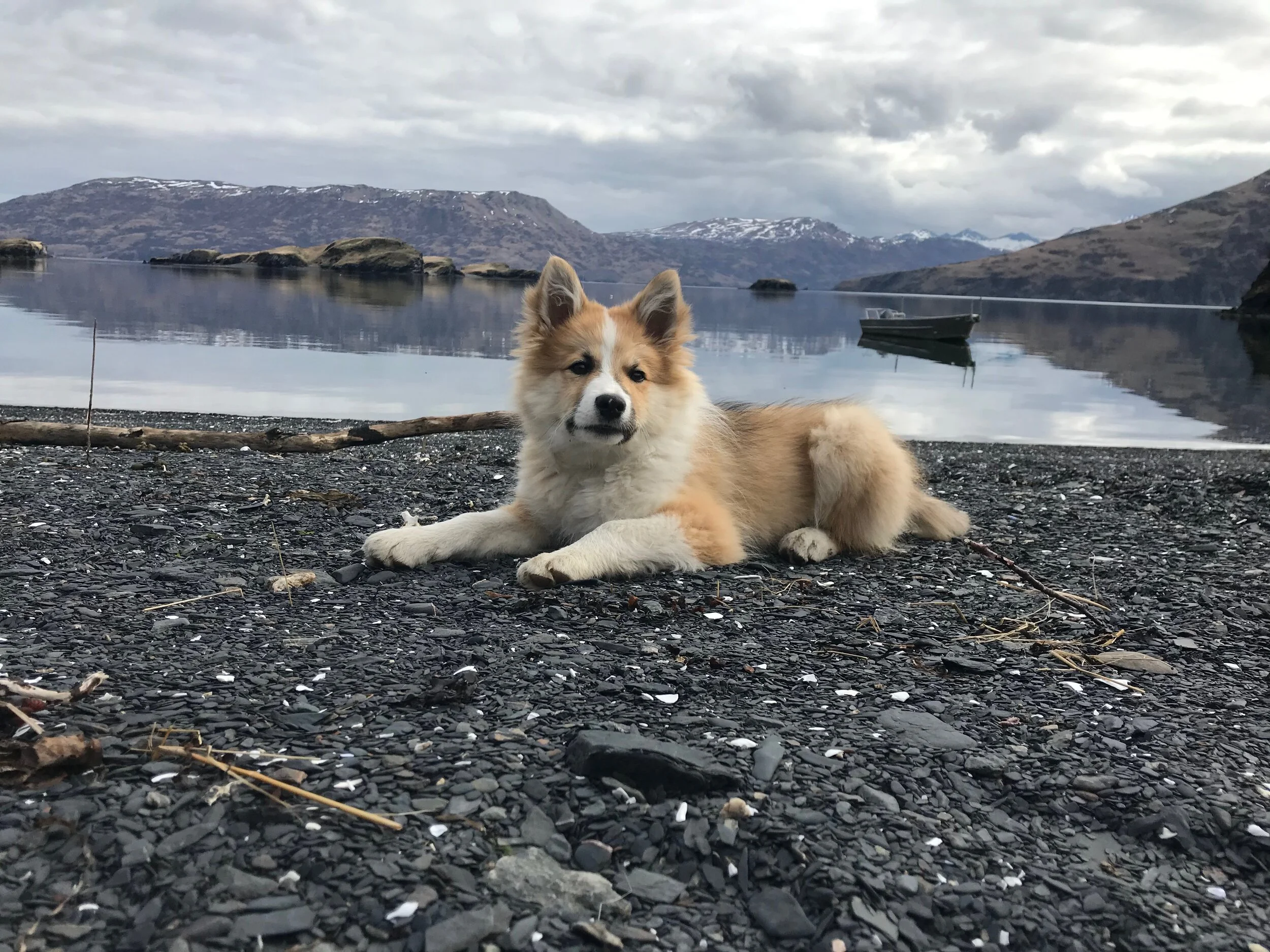Our Spring 2020 Album: Uganik Life