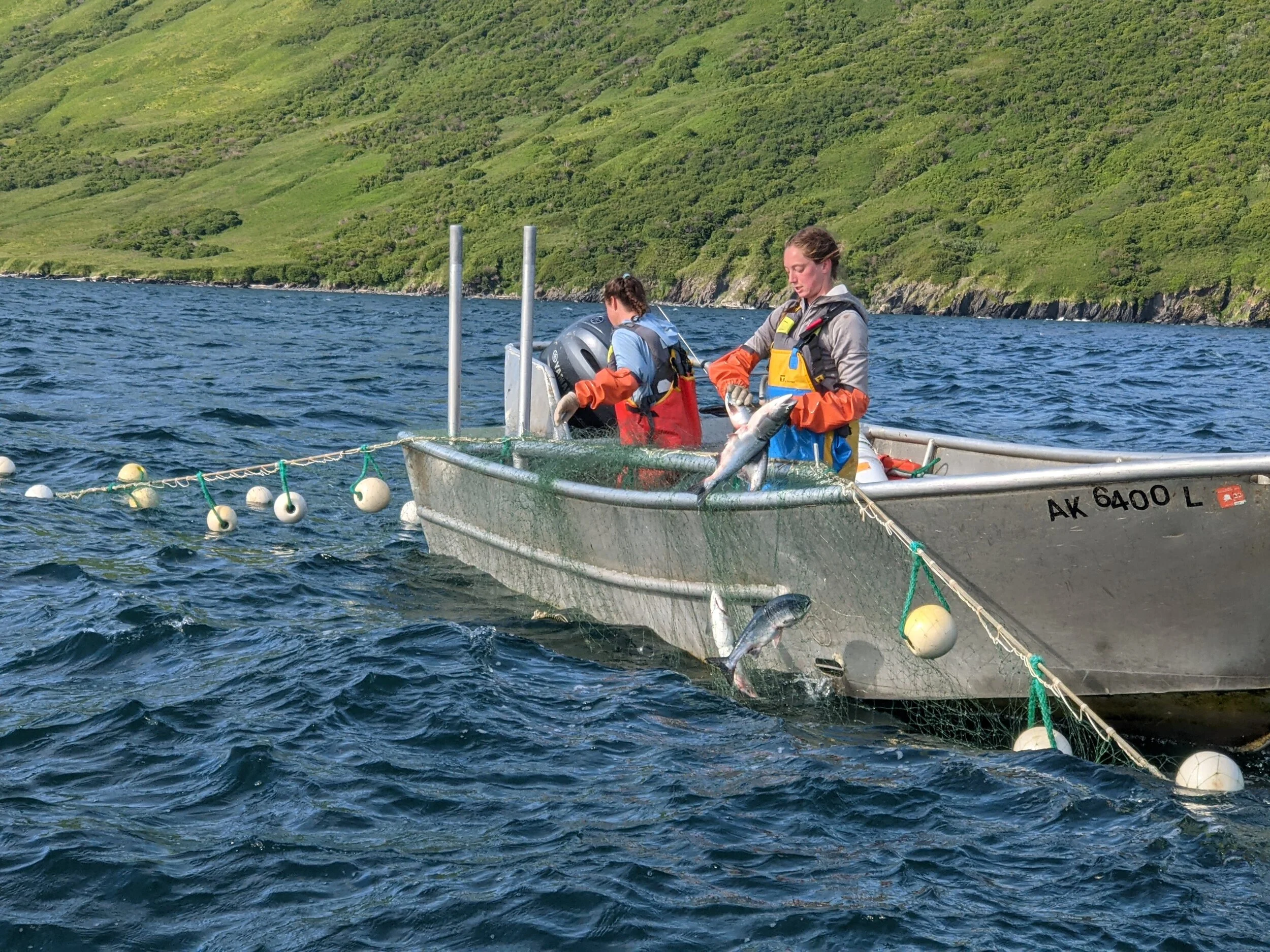 2021 Salmon Season Wrap-up