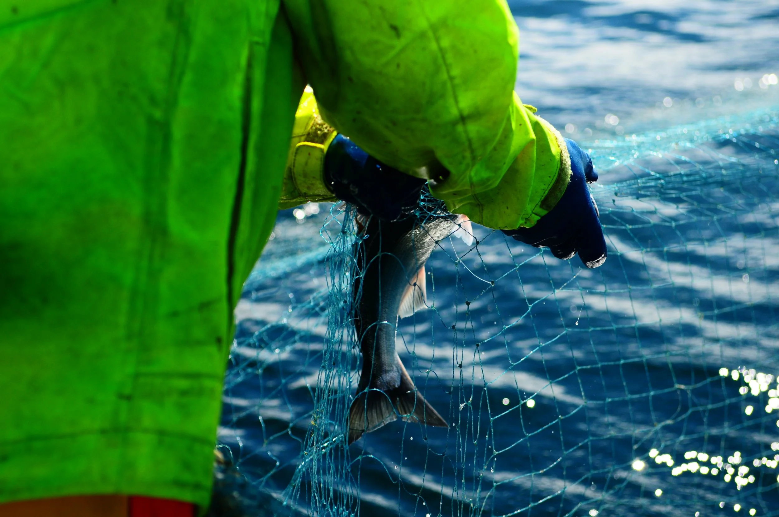 A Big Thank You to our Spring Customers