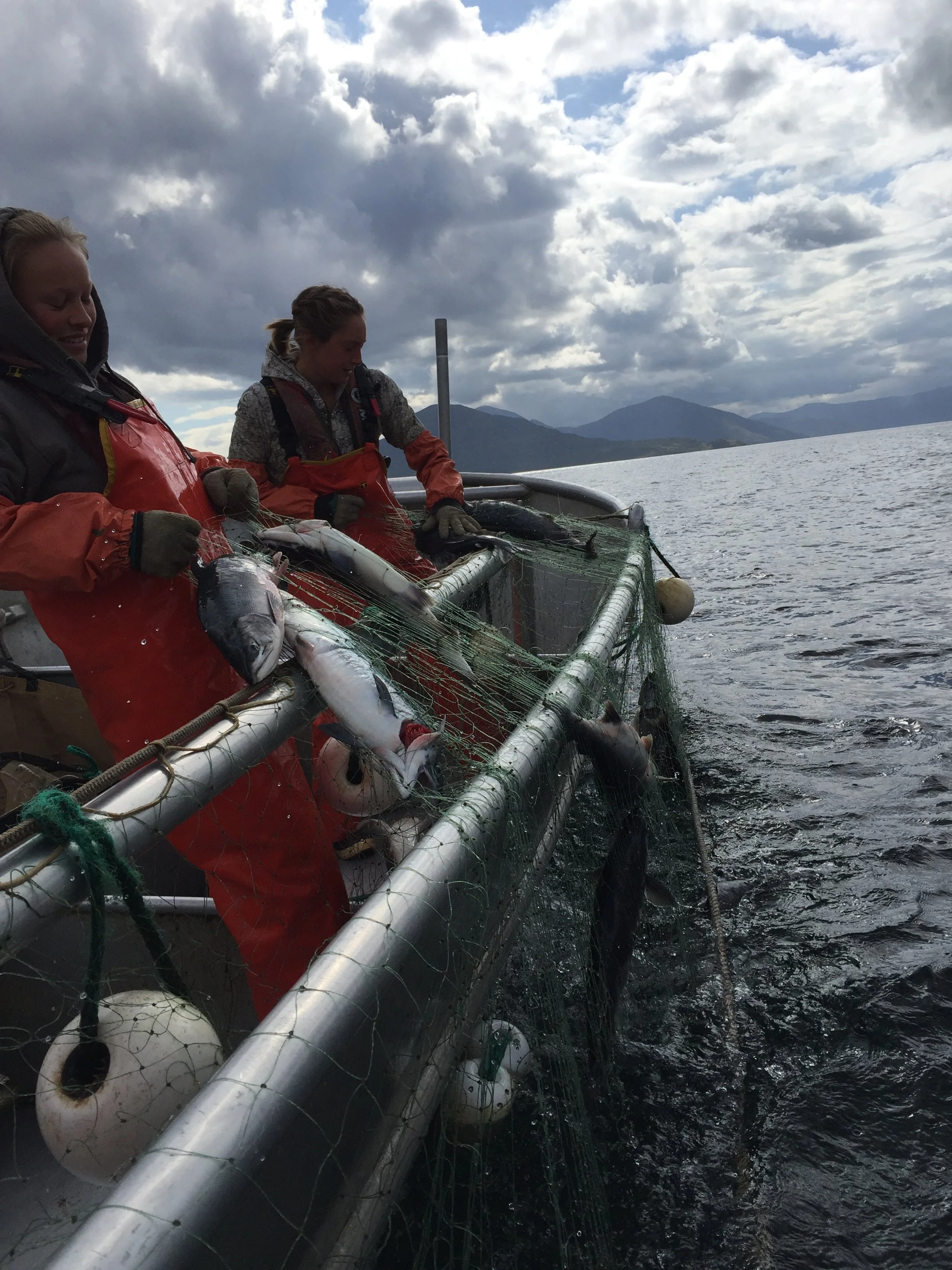 The Seven Wonders of our Sustainable Salmon