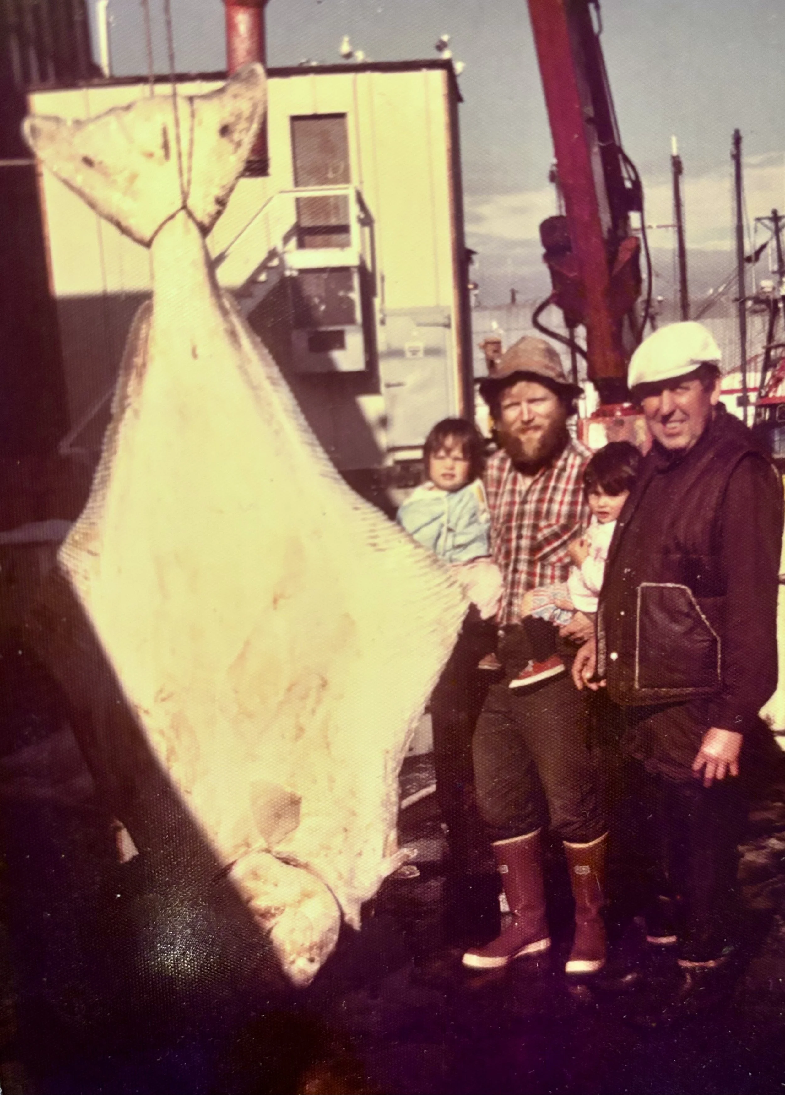 A Barn Door Halibut Story