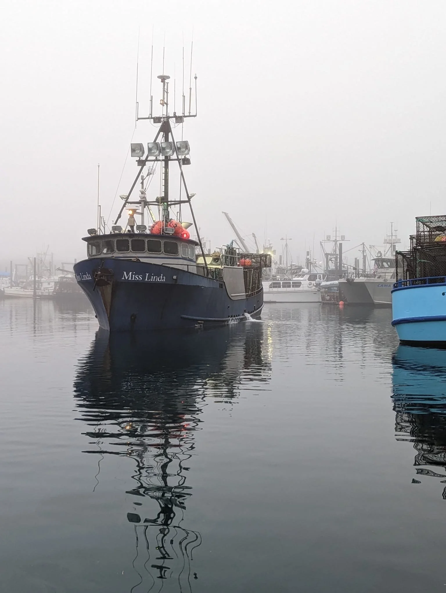 Tollef's top halibut day