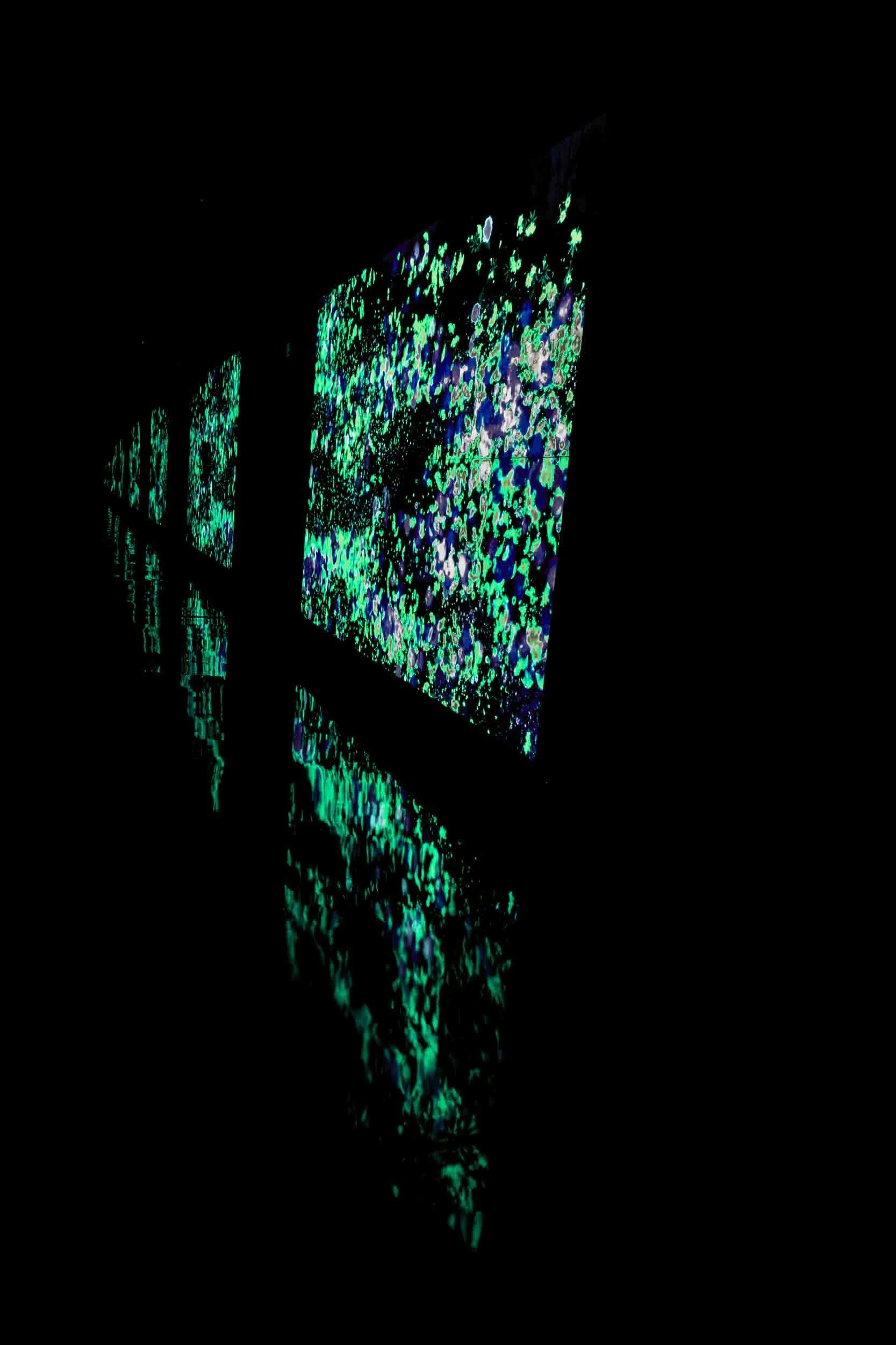 Phosphorescence-11.jpg