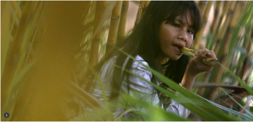 Sugar's sticky trail: Coke and Pepsi work to clean up their supply chains