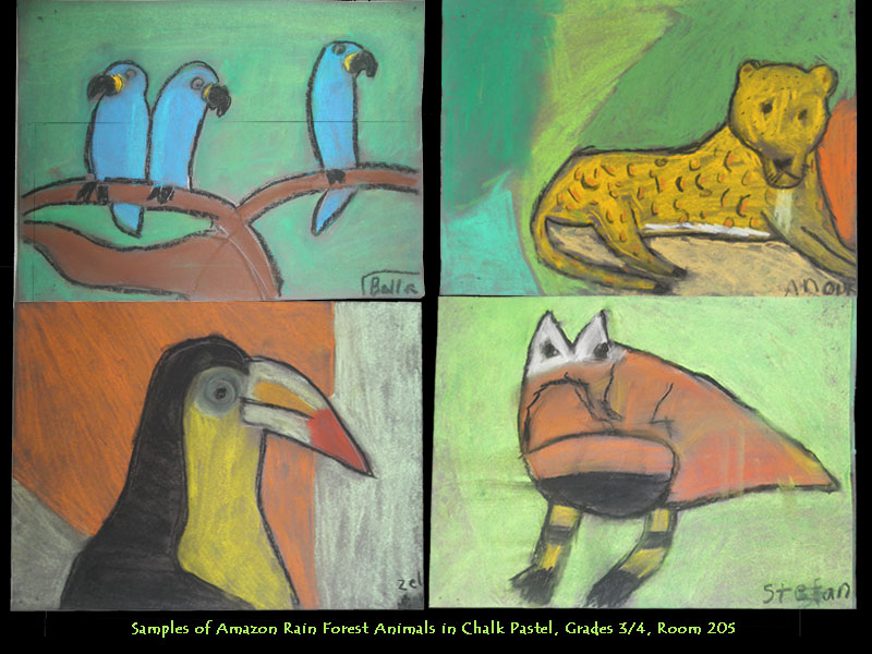 43.Amazon-Rain-Forest-Animals-in-Chalk-Pastel.jpg
