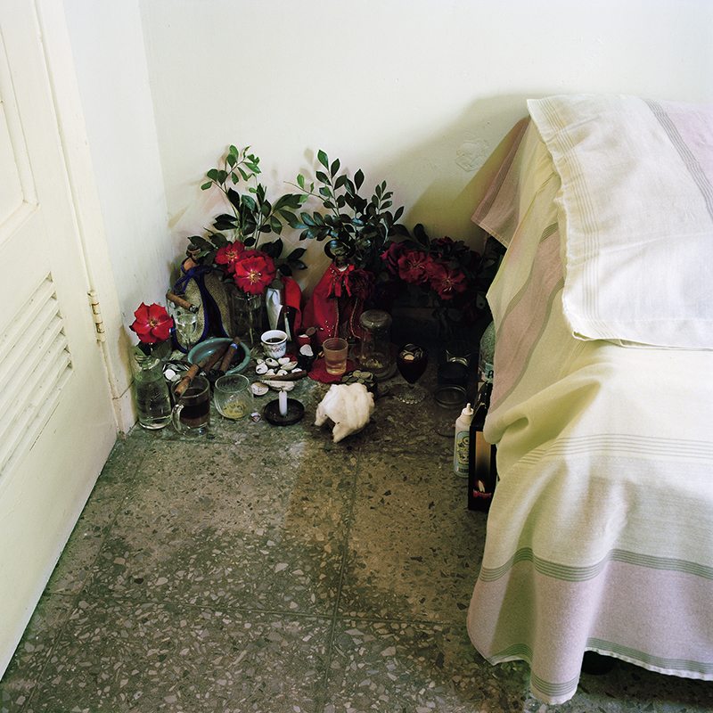 Noris' offering, 2012