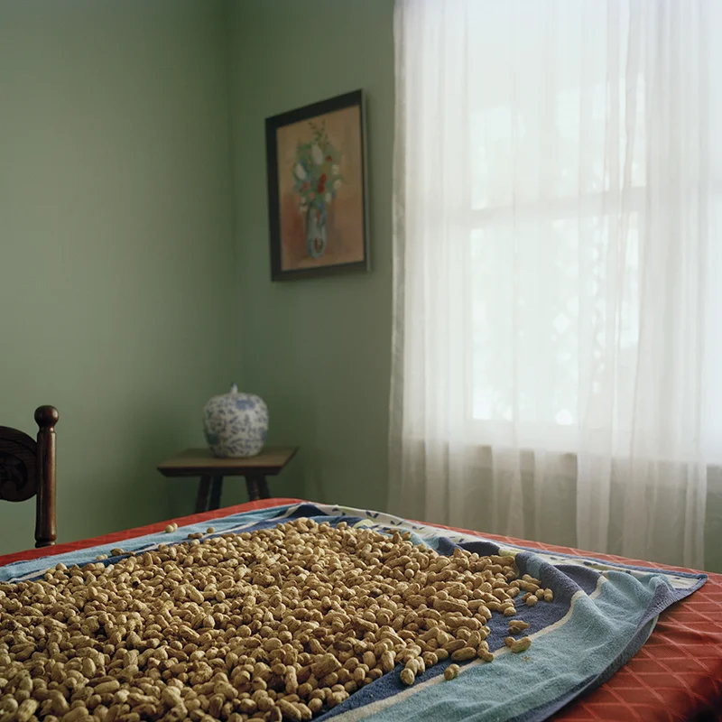 For the family, 2014