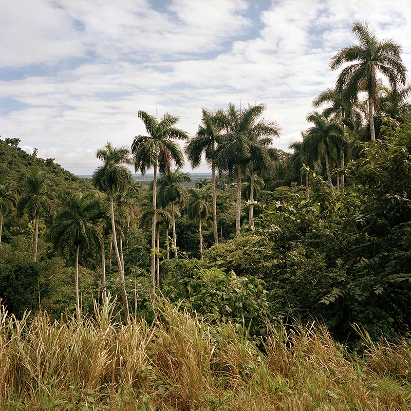 14 From here to Saroa.jpg
