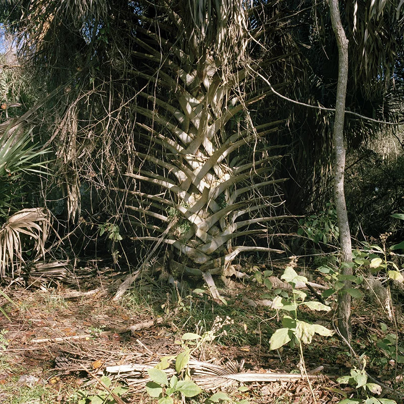 Hung like waterfalls, 2016