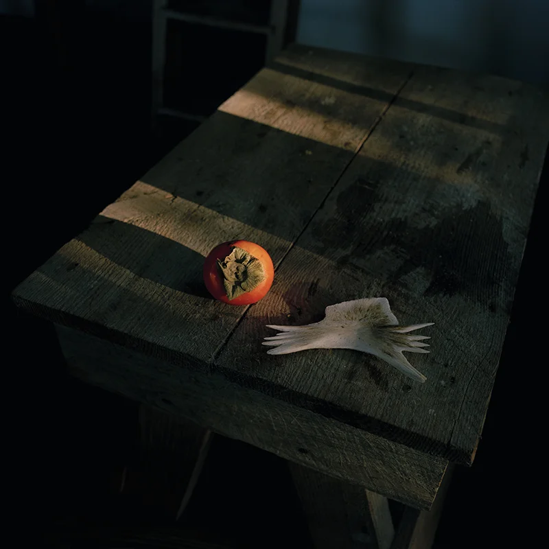 Persimmon and wild boar bone, 2016