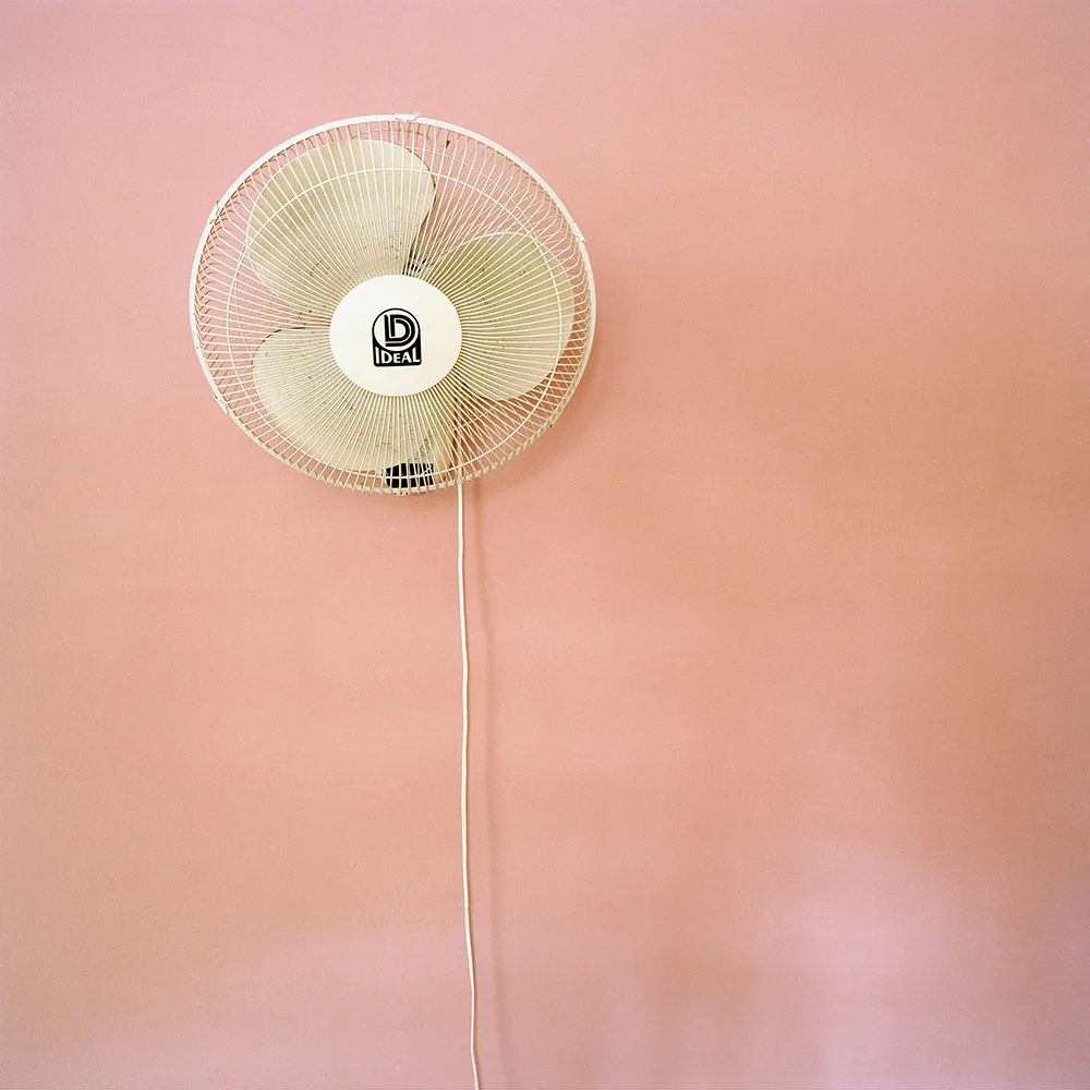 Ideal, 2014