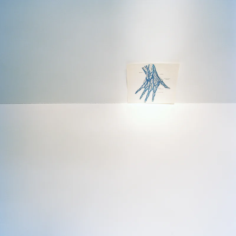 Magnet of an invisible circle, 2017