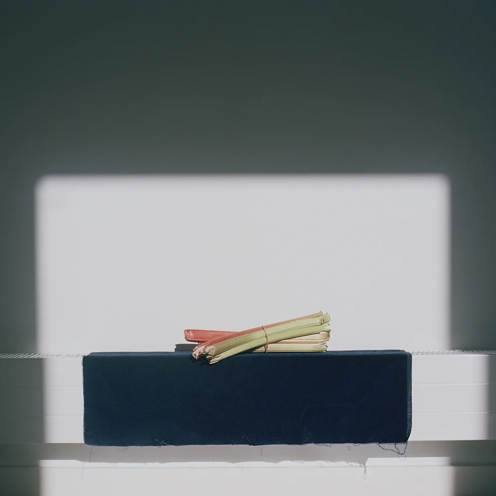 Compression of meaning, 2018