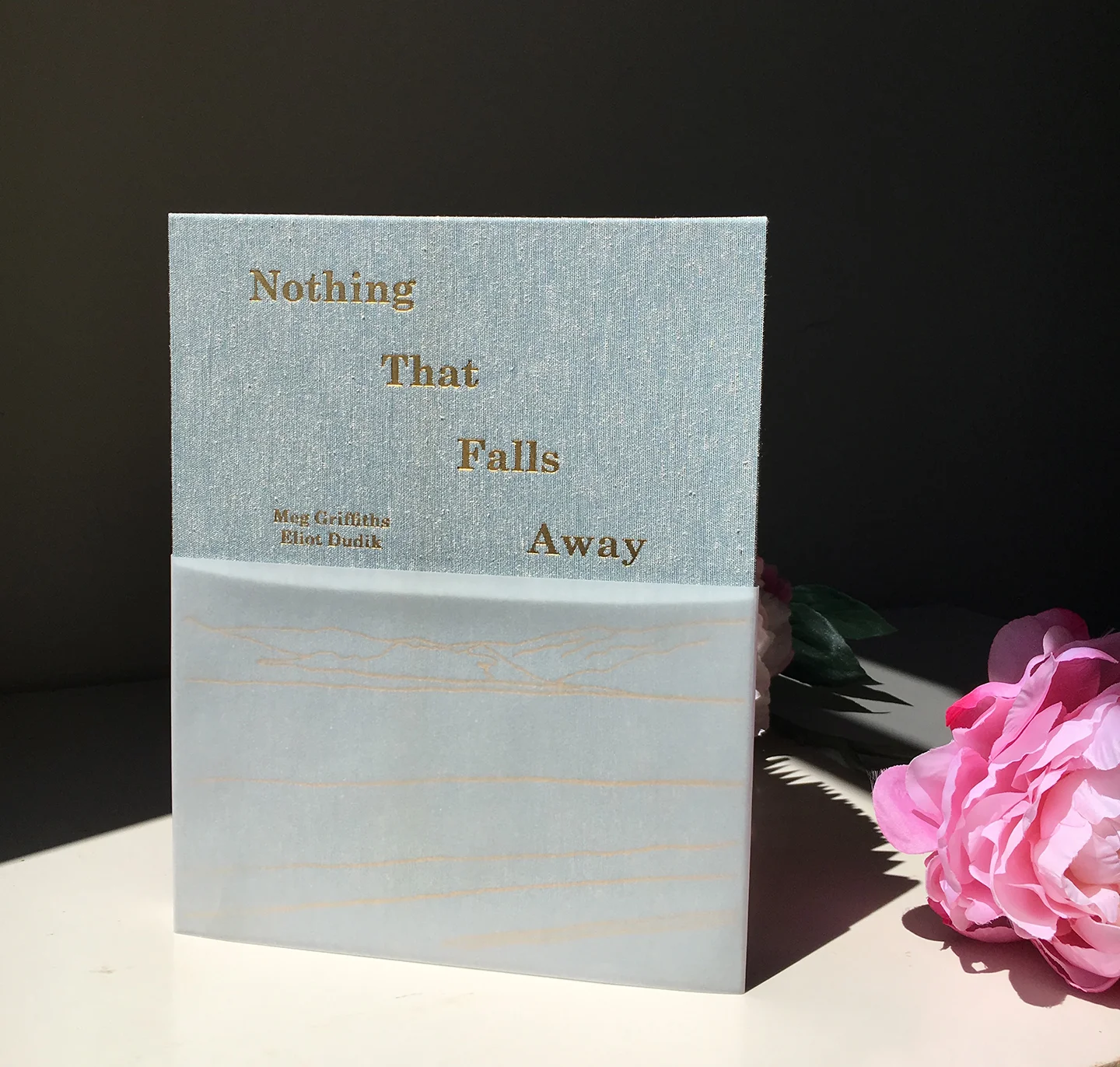 Book Pic.jpg