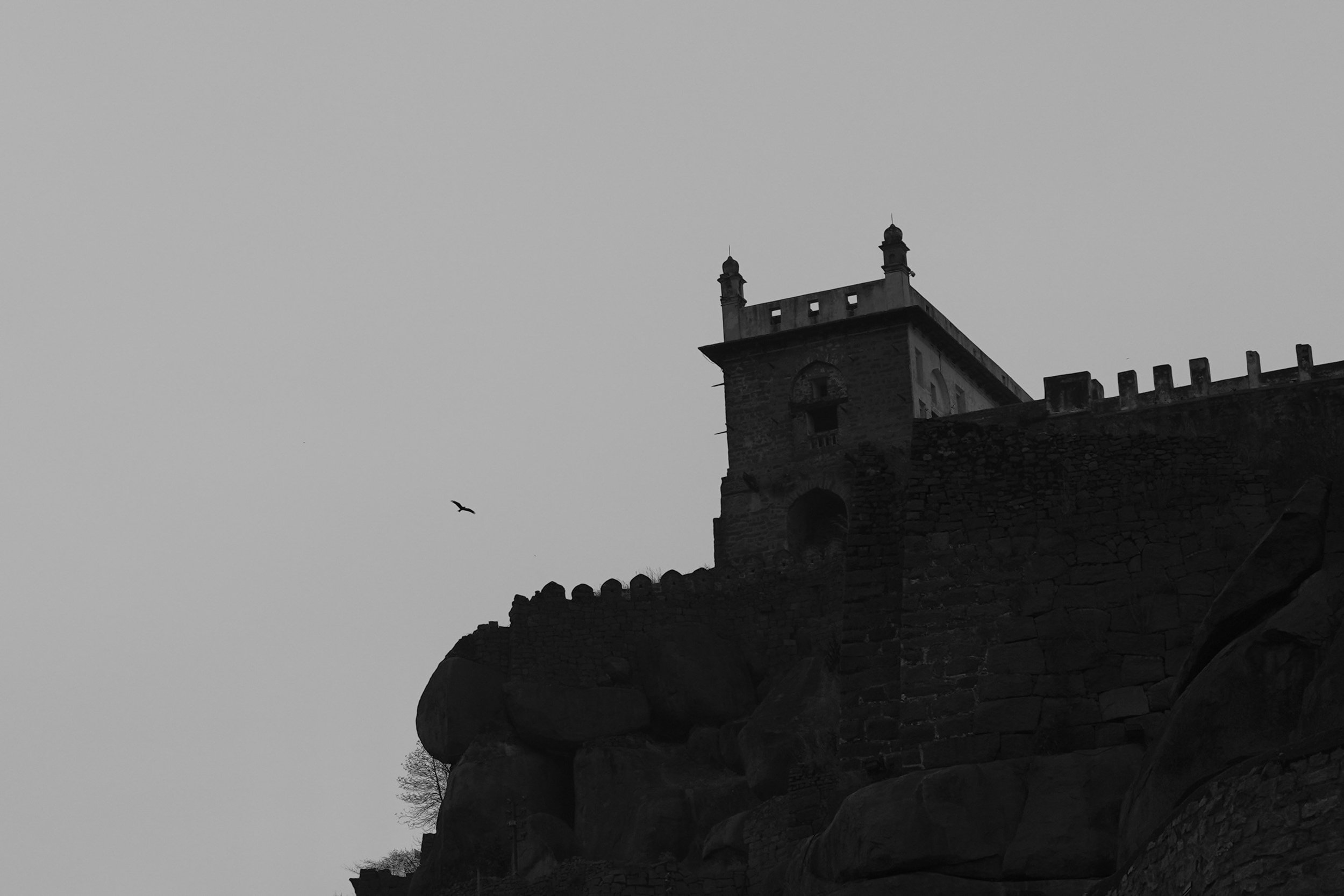 Psalm 46 | Dustin Polley