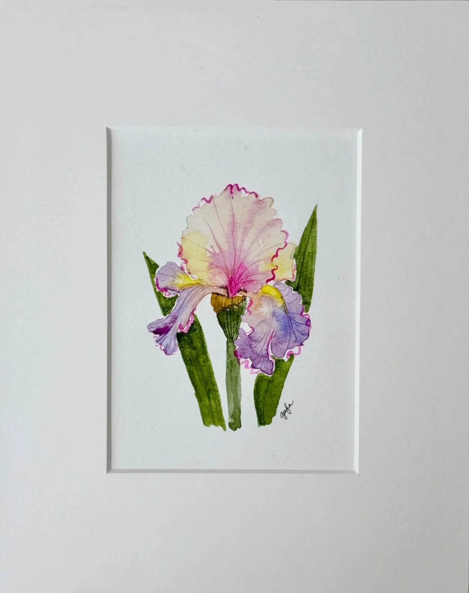 chasing rainbows iris watercolor matted view original watercolor artwork by Gayla Irwin