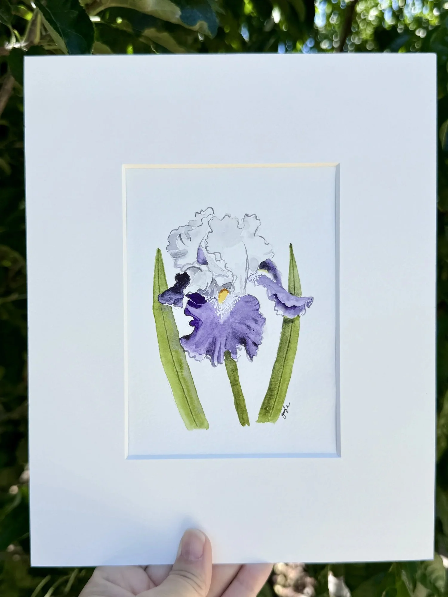 royal storm iris watercolor outdoor view original watercolor artwork by Gayla Irwin