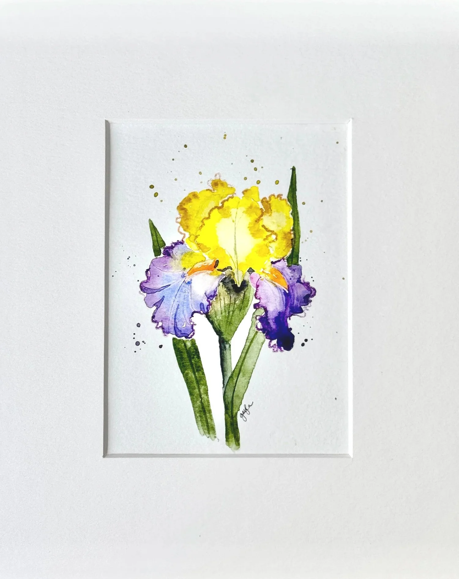 enthralled bearded iris original watercolor painting by Gayla Irwin