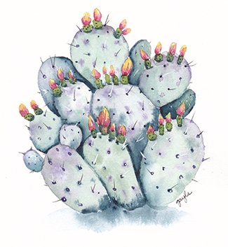 prickly pear lo res.jpg
