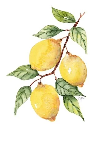 lemons  lo res.jpg