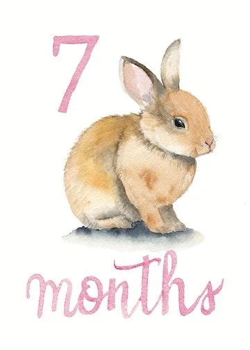 7 bunny pink lo res.jpg