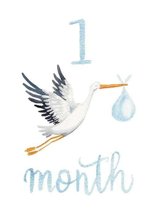 1 stork blue lo res.jpg