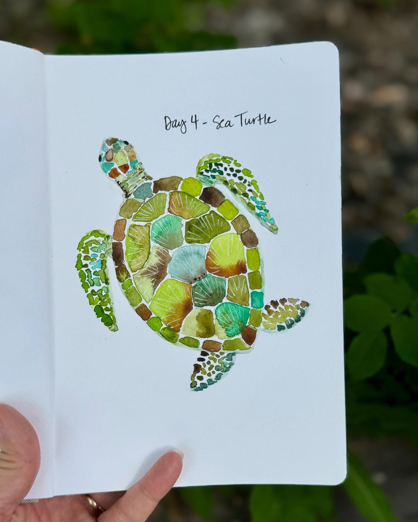 Day 3 and 4 for  5 Days of Sea Creatures art challenge with @ohn_mar_win 
🌊🦐🦞🐋🪼🪸🦑🧜🏻&zwj;♀️🦀

#watercolorseaturtle#watercolorseahorse #underthesea #artchallenge