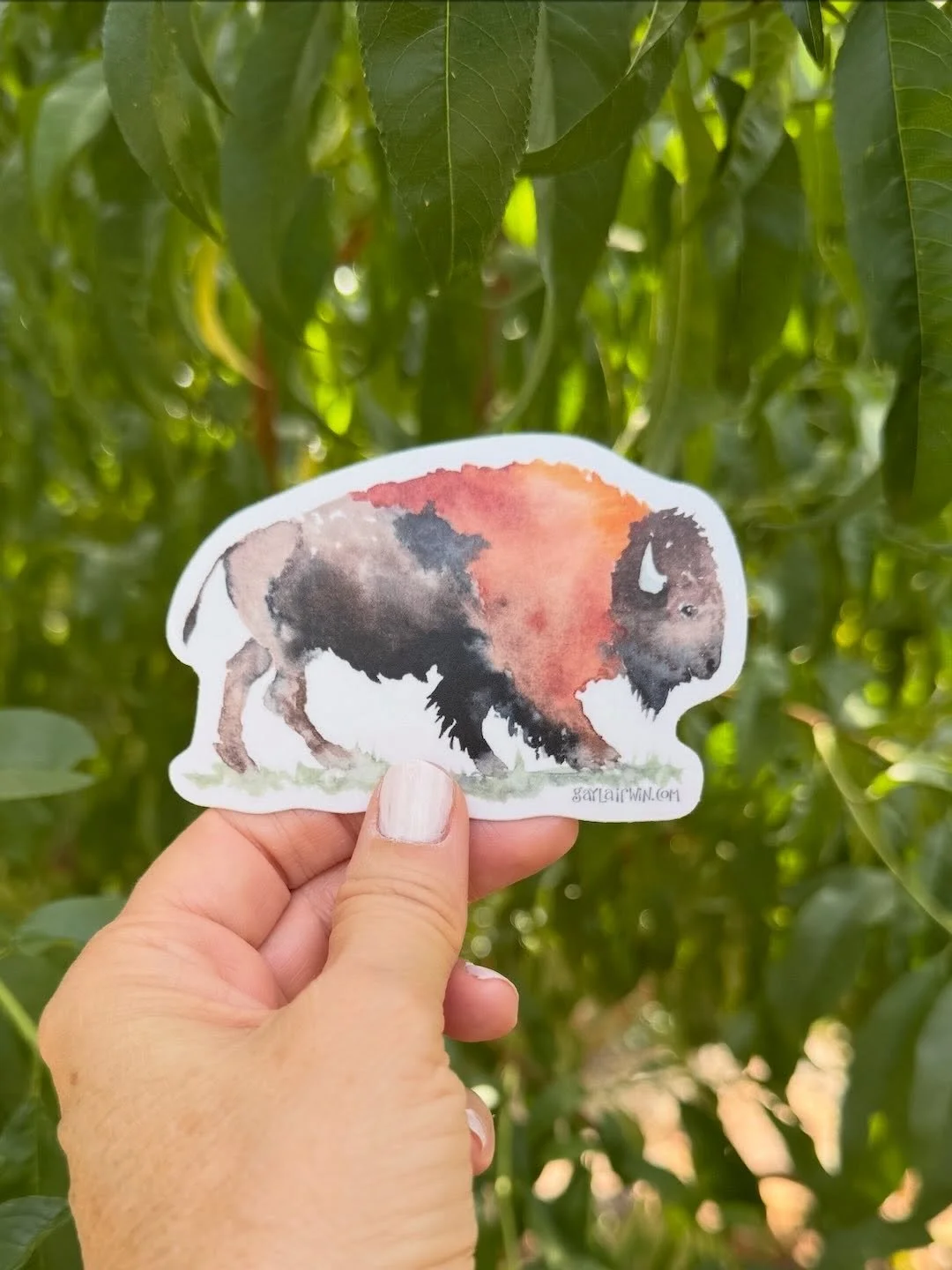 A little sale to brighten your January ✨
My stickers and greeting cards are on sale now through midnight Monday, January 12. 
Each design begins as a watercolor painting and is created to be shared&mdash;with a friend, a loved one, or yourself.

Shop