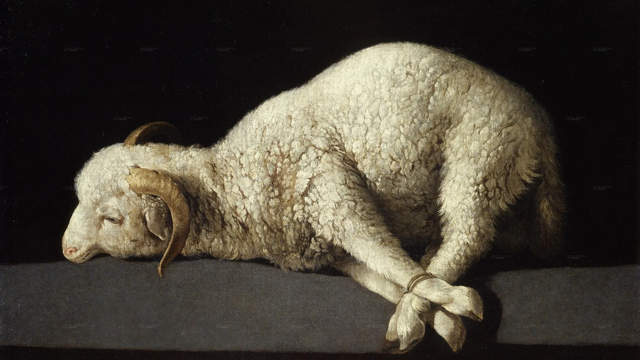 Here we see a live lamb, tied and bound, waiting to be sacrificed. Its four legs are tied together with a rope, and its eyes are looking down, as if averting our gaze. &nbsp;I find it difficult, painful even, to engage with this image.

Francisco de 