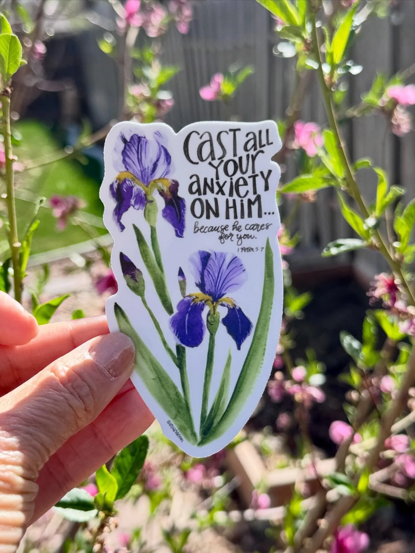 A new sticker in the shop!  This watercolor purple iris is hand-lettered with 1 Peter 5:7, a verse that has been a beautiful reminder to put my trust in God and his love.  So good for my often anxious heart. 💜💚 

#1peter5 #anxiousheart #watercolors