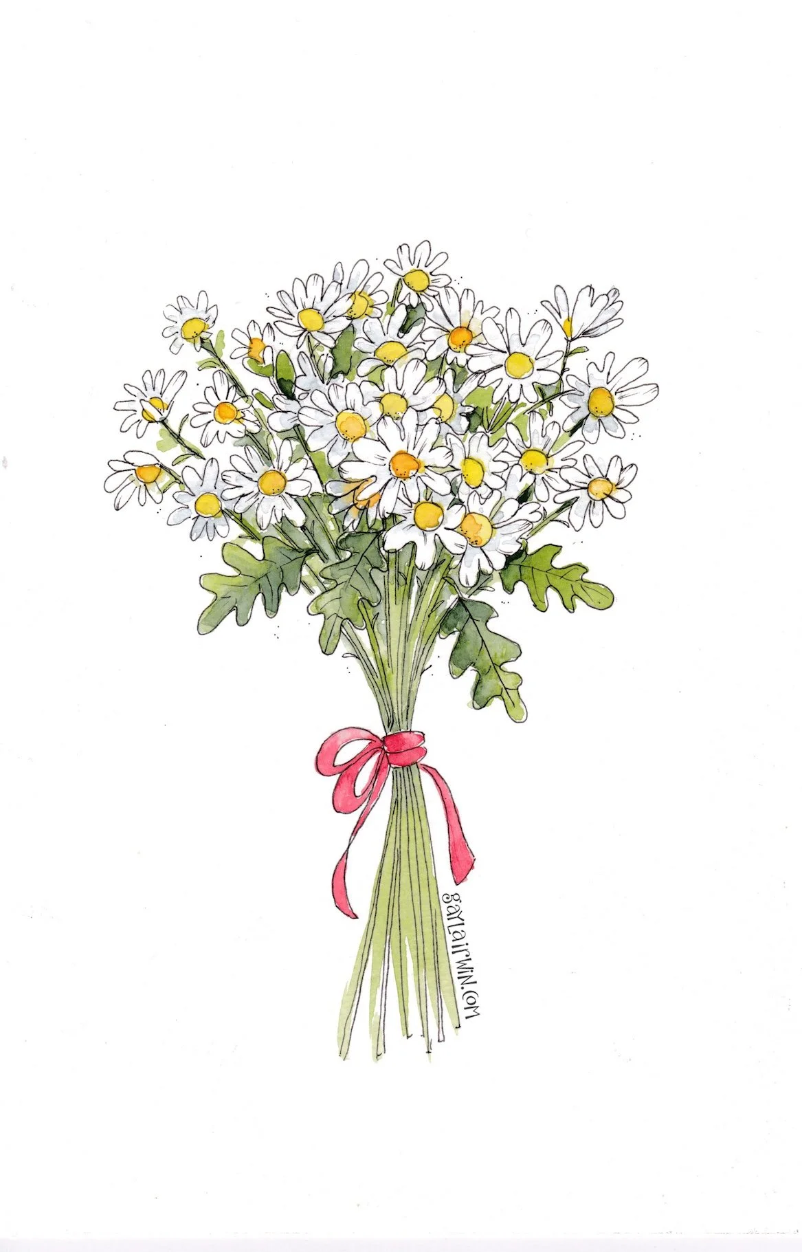 Daisies-sticker-lo-res.jpeg