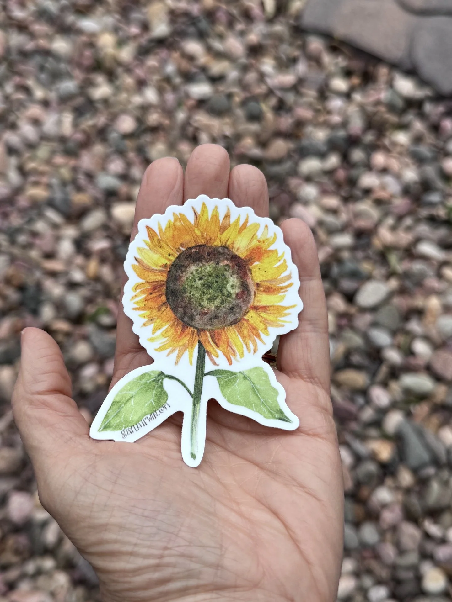 Sunflower-sticker-on-hand.JPG
