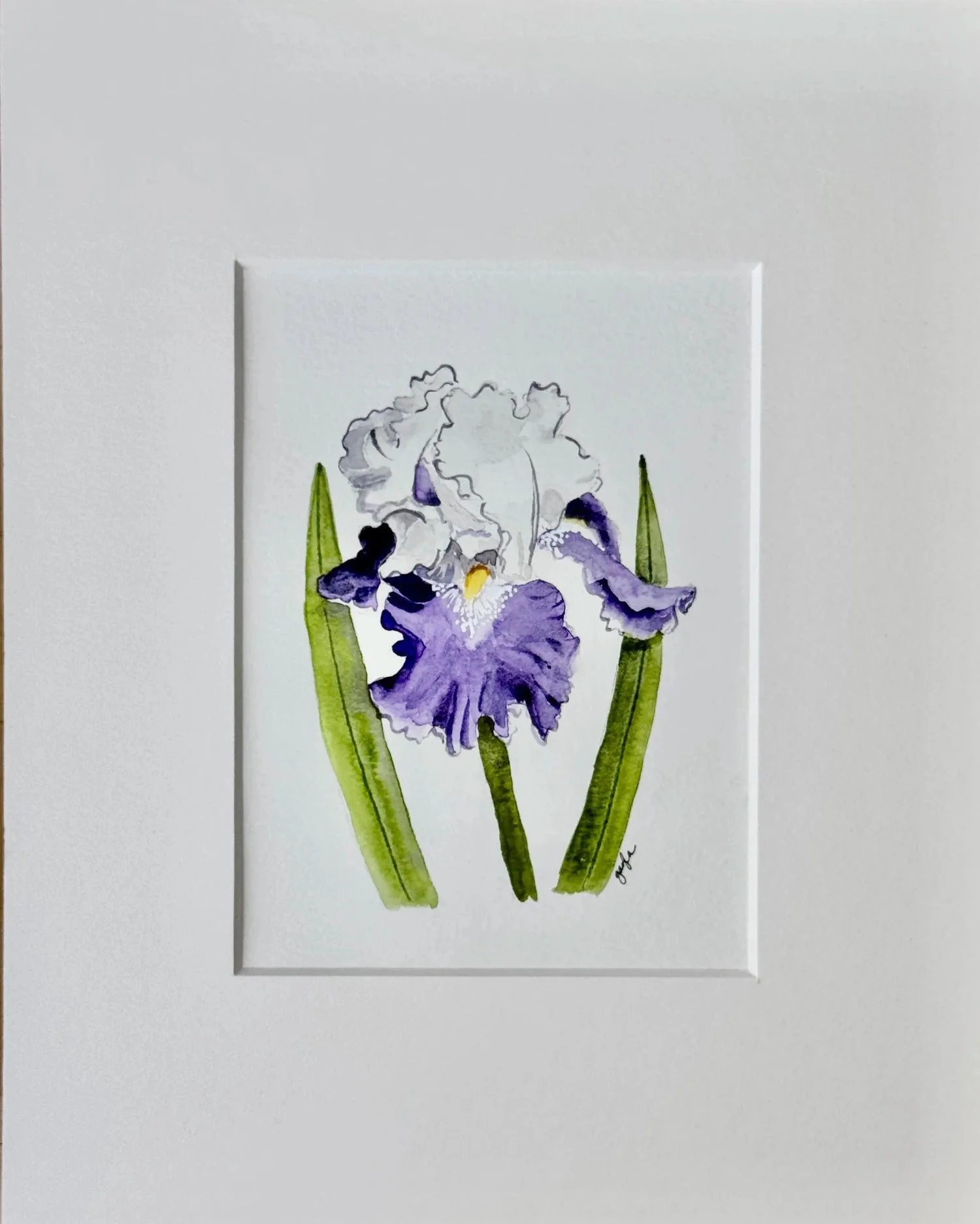 royal storm iris matted view watercolor painting original by Gayla Irwin