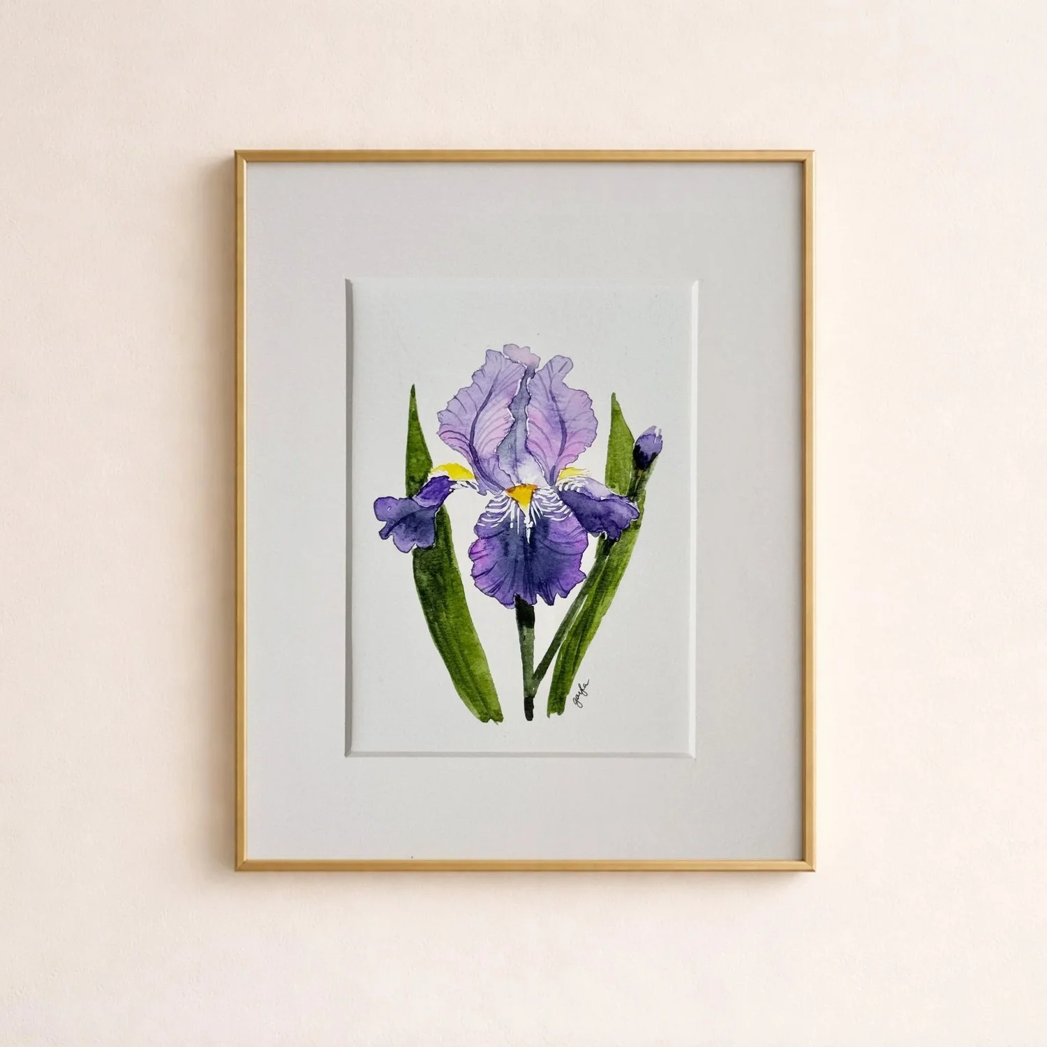 Purple Bearded Iris | Original Watercolor