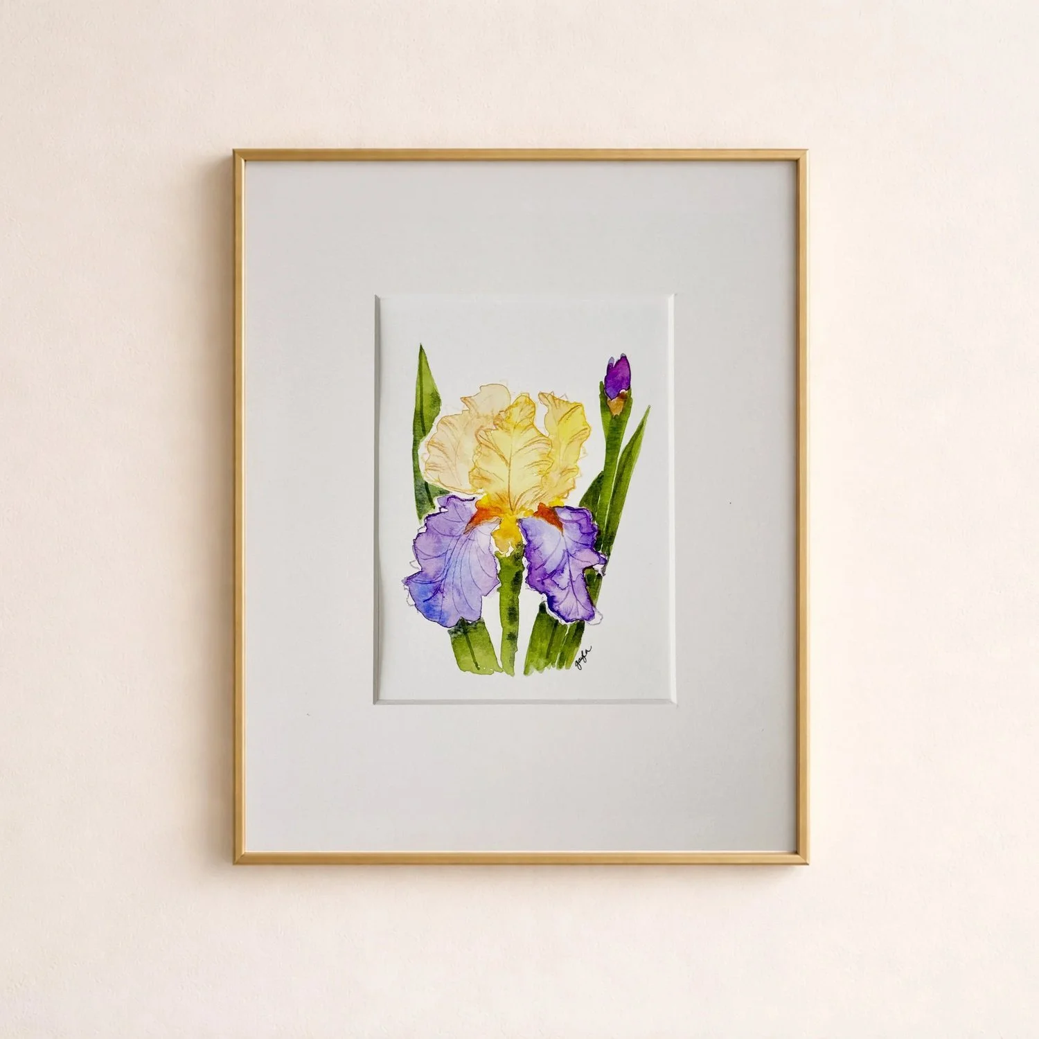 Gold and Purple Bearded Iris |  Original Watercolor