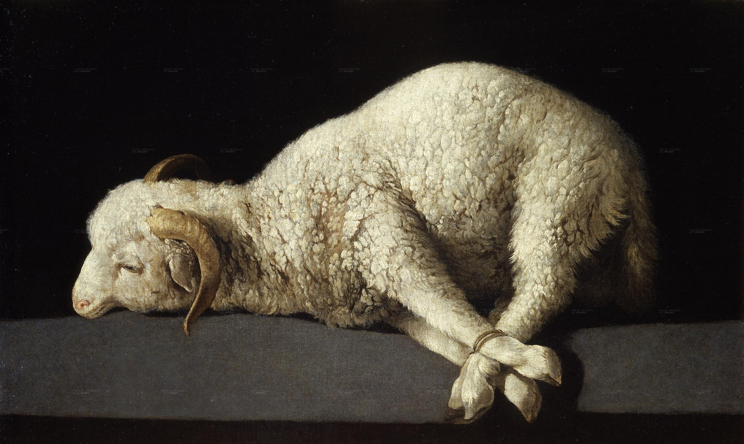 Lamb with four legs bound on altar.  Symbolic of the crucifixion of Jesus