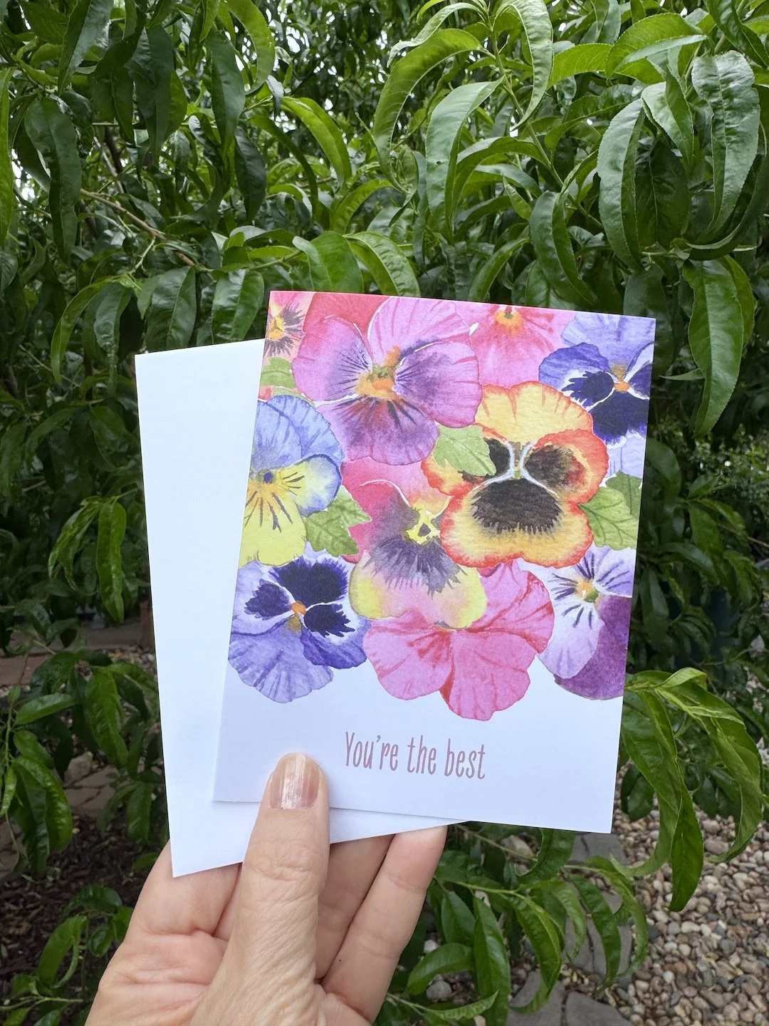 Best_Pansies_card.JPG