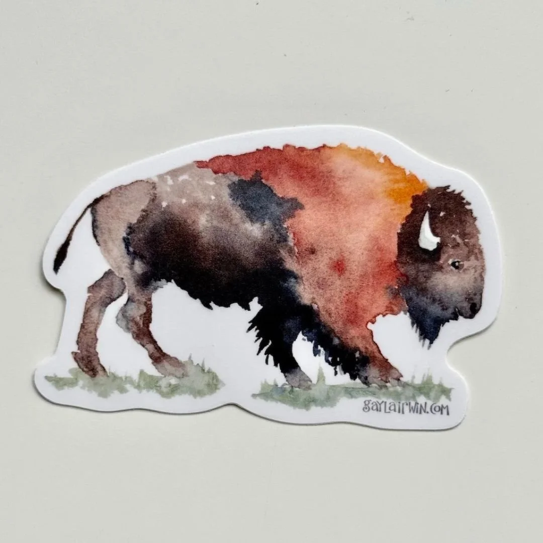 watercolor-buffalo-vinyl-sticker-white.jpg