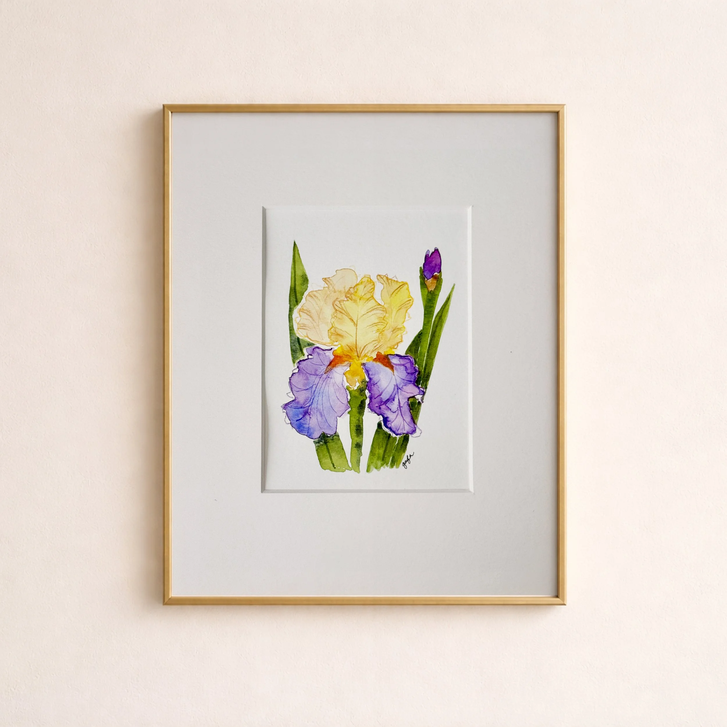 Gold and Purple Bearded Iris |  Original Watercolor