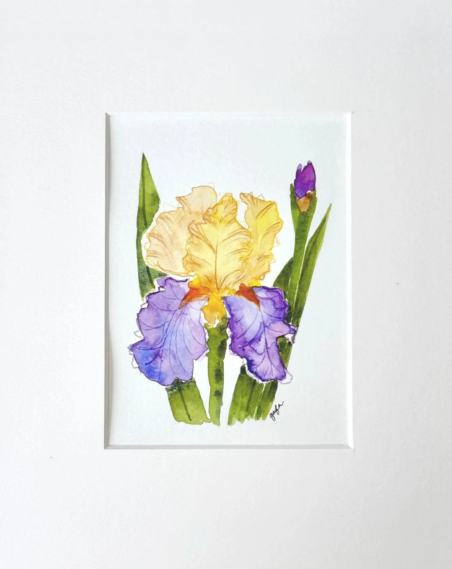 gold purple bearded iris original watercolor painting by Gayla Irwin