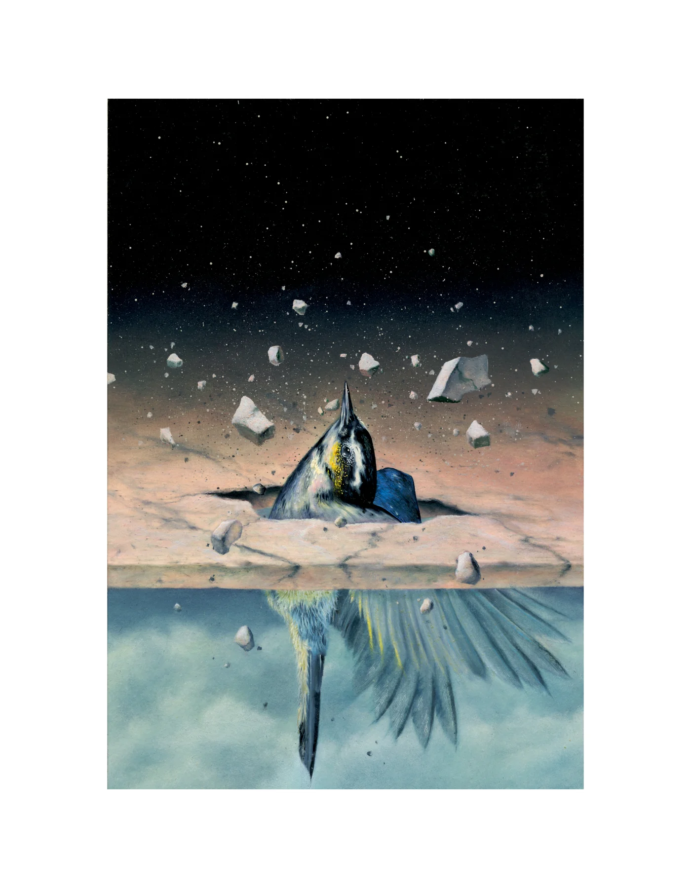 BOOKCOVERbirdbreakWEB100.jpg