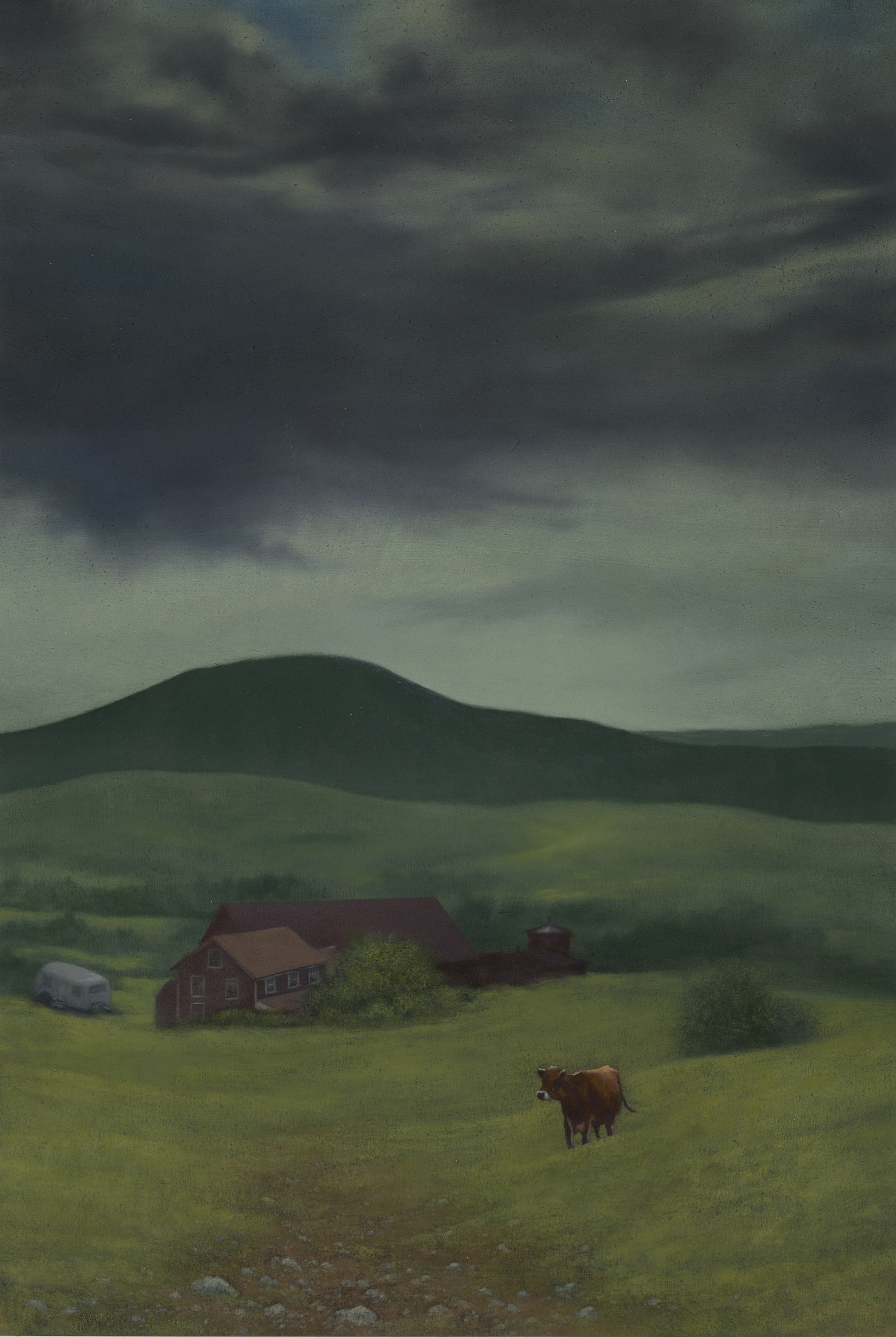 BOOKCOVERcow-fieldWEB100.jpg