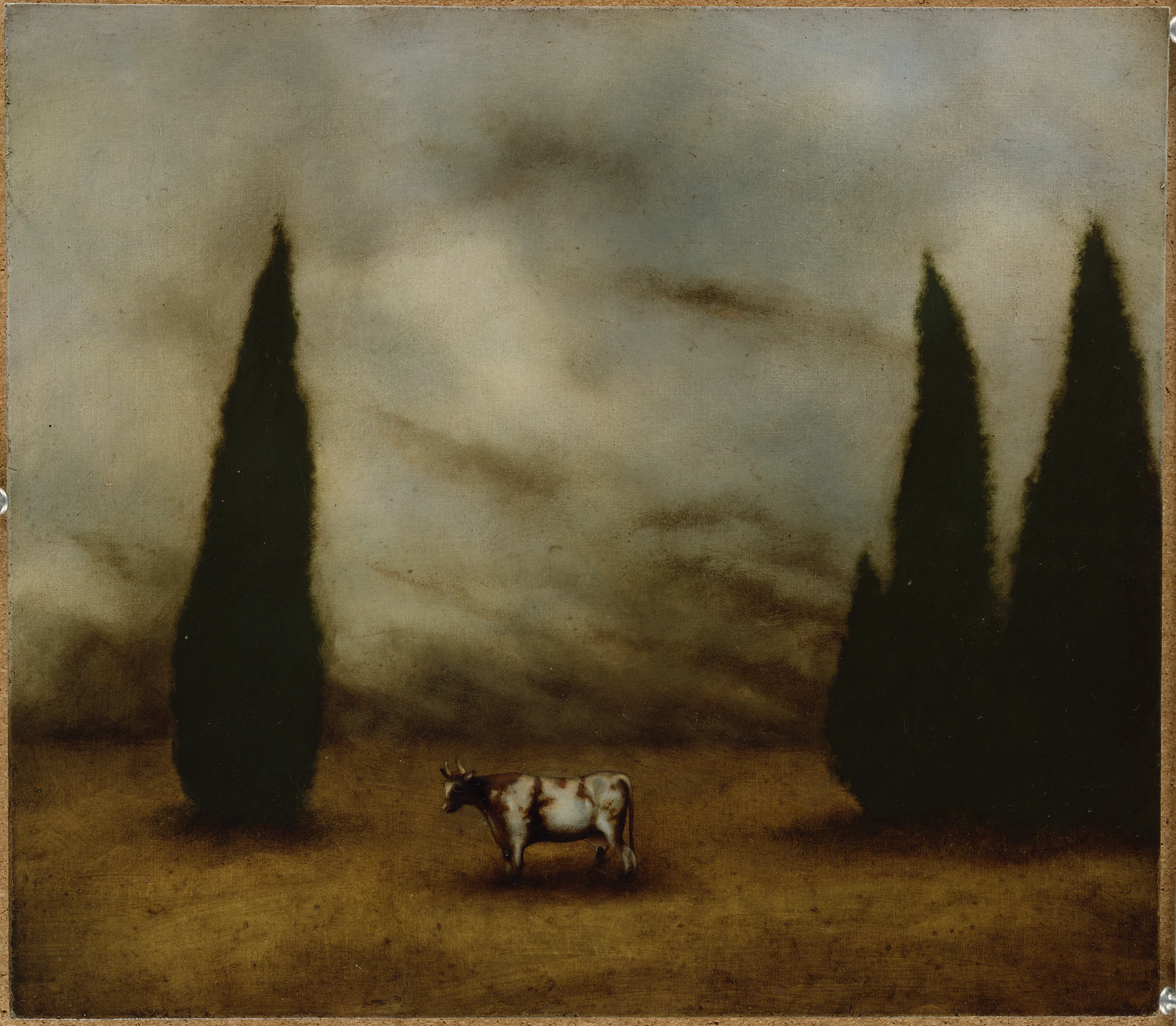 COW3cyprusWEB100.jpg