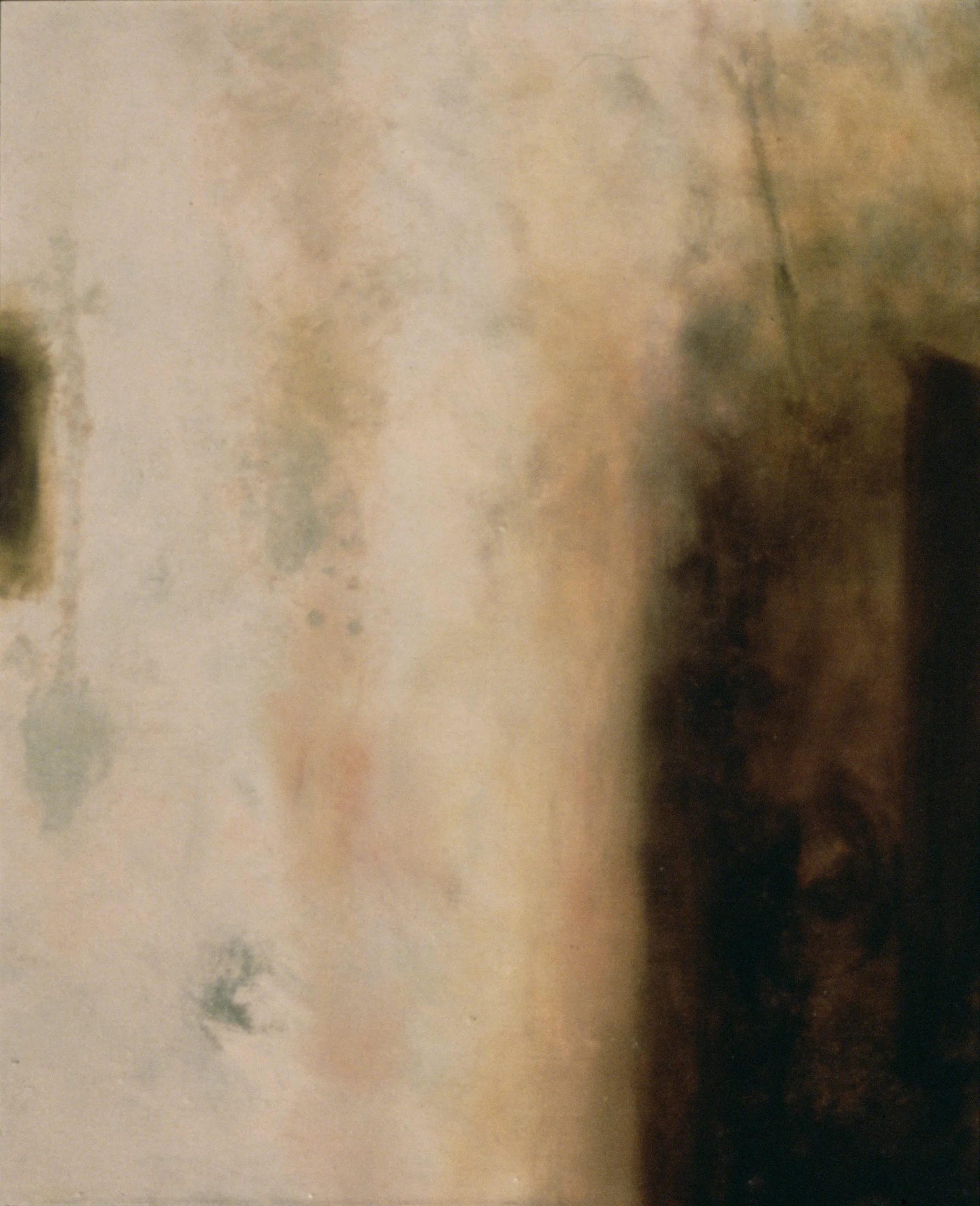 UNTITLED9-49x53web.jpg