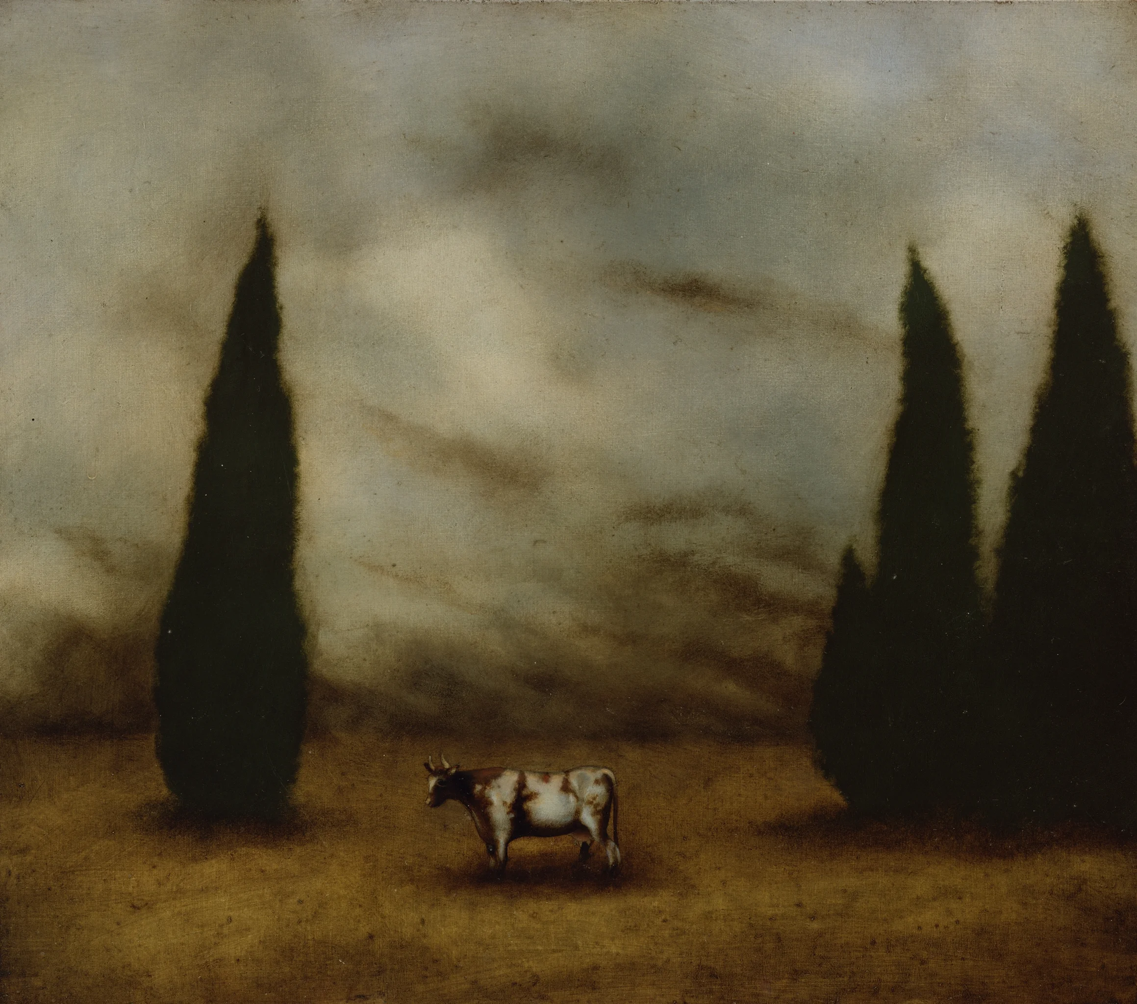 COW3cyprusWEB100.jpg