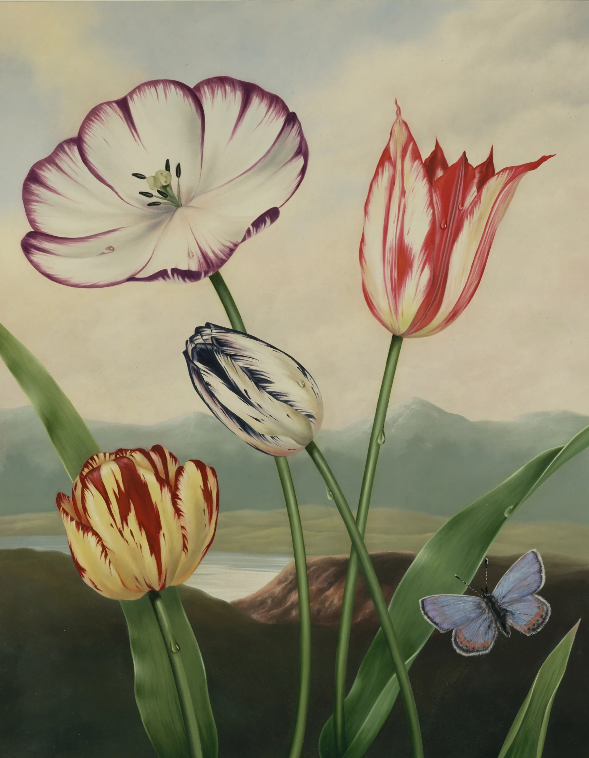 TULIPSMacy'sbagWEB100.jpg