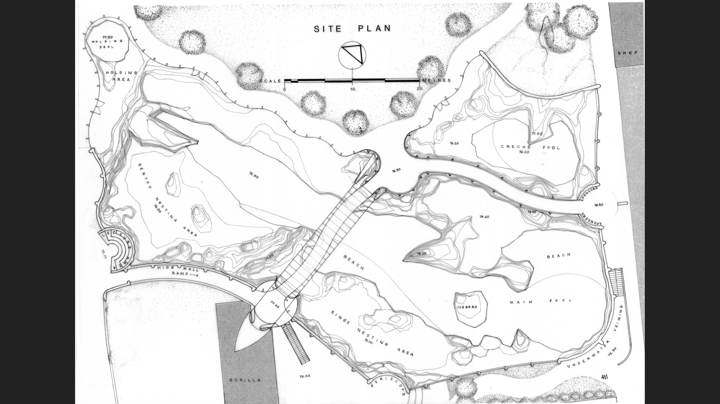 Site Plan.jpg